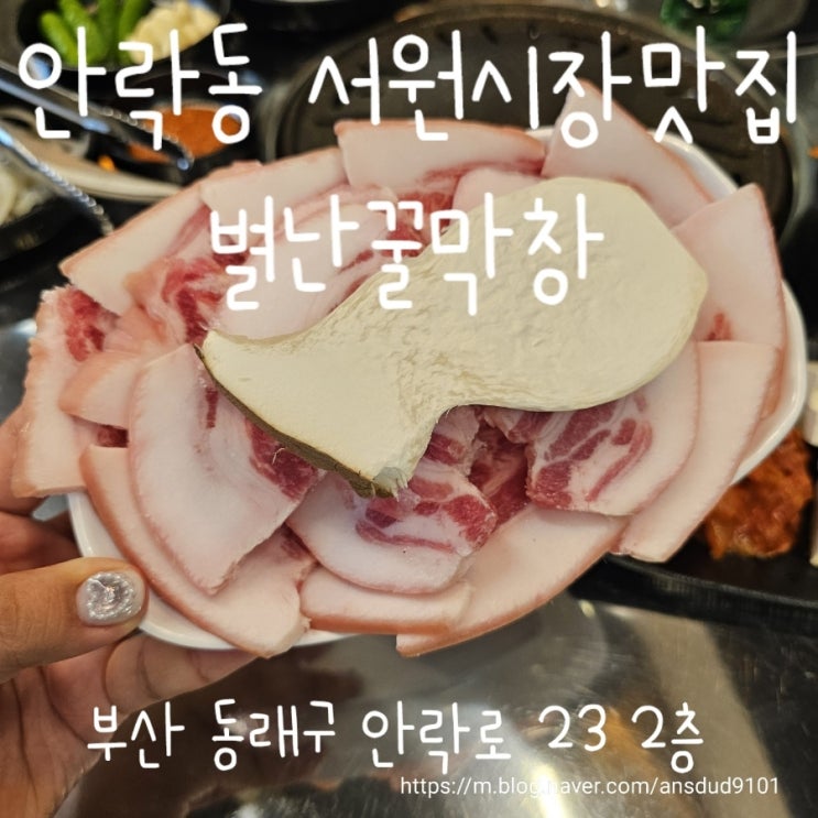  안락동 서원시장맛집, 별난꿀막창