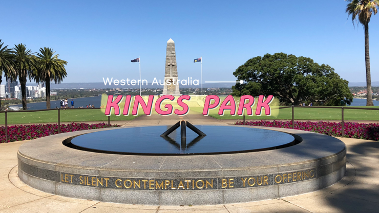 서호주 퍼스 대규모 도심공원 킹스파크 여행 Perth Kings Park
