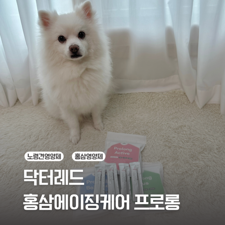 [강아지영양제] 닥터레드 프로롱 / 노견에게 좋은 홍삼영양제