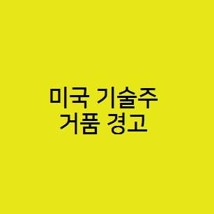  월가 강세론자  미국 기술주 거품 경고