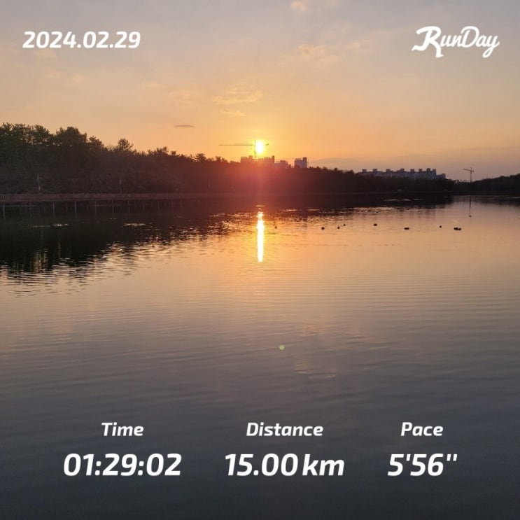  하프마라톤 거리 2시간 내 첫 완주 도전 러너스하이 느끼며 15km 연습 훈련