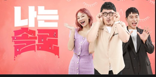  나는 솔로에 대한 비판적 시각과 견해