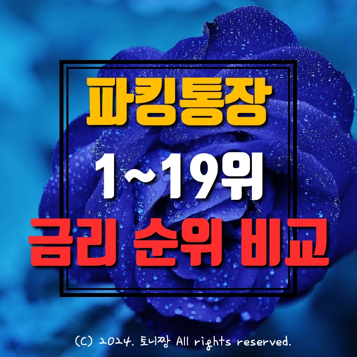 (24년 3월) 파킹통장 금리순위. OK짠테크통장, 플러스자유예금 애큐온 BNK DB 다올 저축은행 케이 카카오 토스뱅크 순서. 1~19위 금리비교