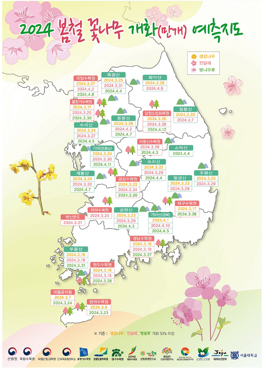 ‘꽃놀이 언제 가면 좋을까?’…봄꽃 개화 예측지도