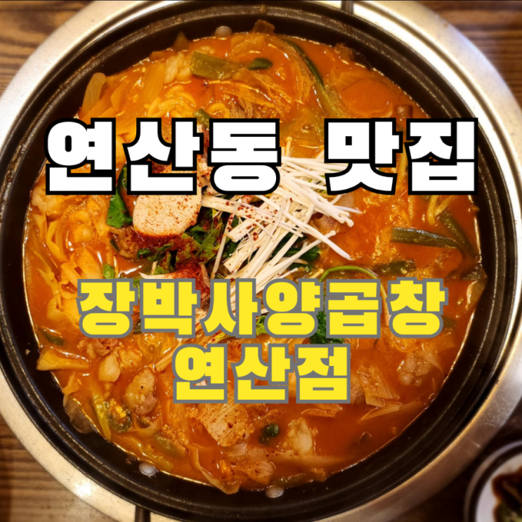  연산동 맛집 곱창전골에 밥 비벼 먹기 맛있는 장박사양곱창 연산점