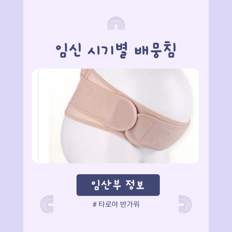 임신후기, 복통, 체중감소 느낌, 9개월 증상, 제왕절개 날짜 확정