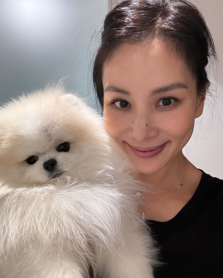  배우 고소영이 선택한 14K 별 모양 팬던트가 매력적인 명품 쥬얼리 브랜드 디아모모 데일리 여자 목걸이 추천