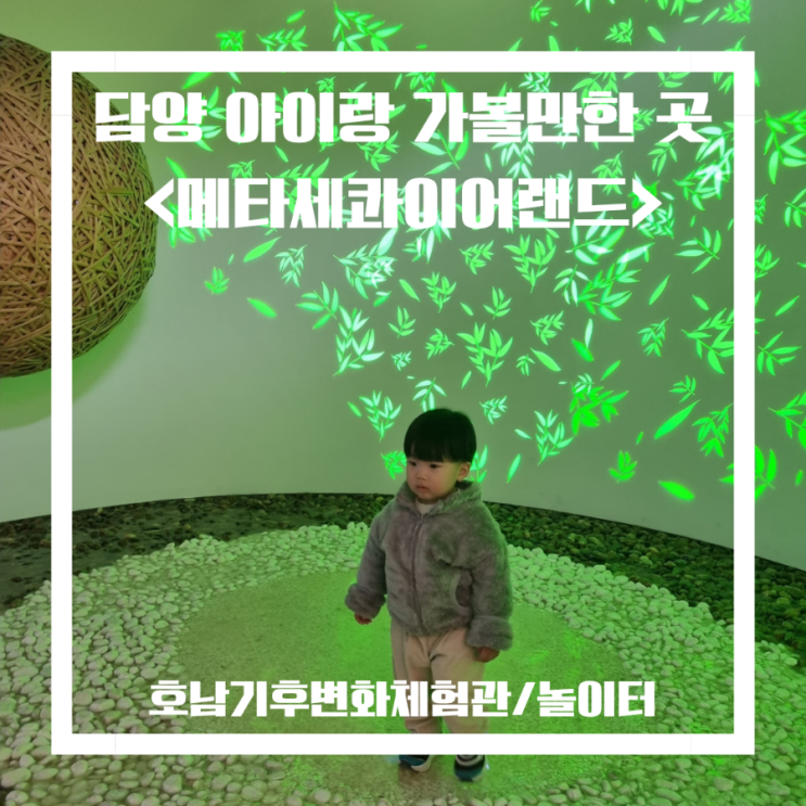  담양 아이와 가볼만한 곳 호남기후변화체험관 메타세콰이어랜드 개구리생태공원