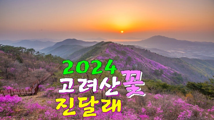 강화도 갈만한곳! 2024 강화도 고려산 진달래축제 (기본정보, 등산코스, 주차장, 진달래 개화시기) 강화도 갈만한곳! 2024 강화도 고려산 진달래축제 (기본정보, 등산코스, 주차장, 진달래 개화시기)