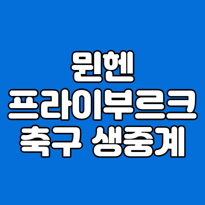 2024년 3월 2일 뮌헨 프라이부르크 중계 방송 <b>김민재 분데스리가</b>... 