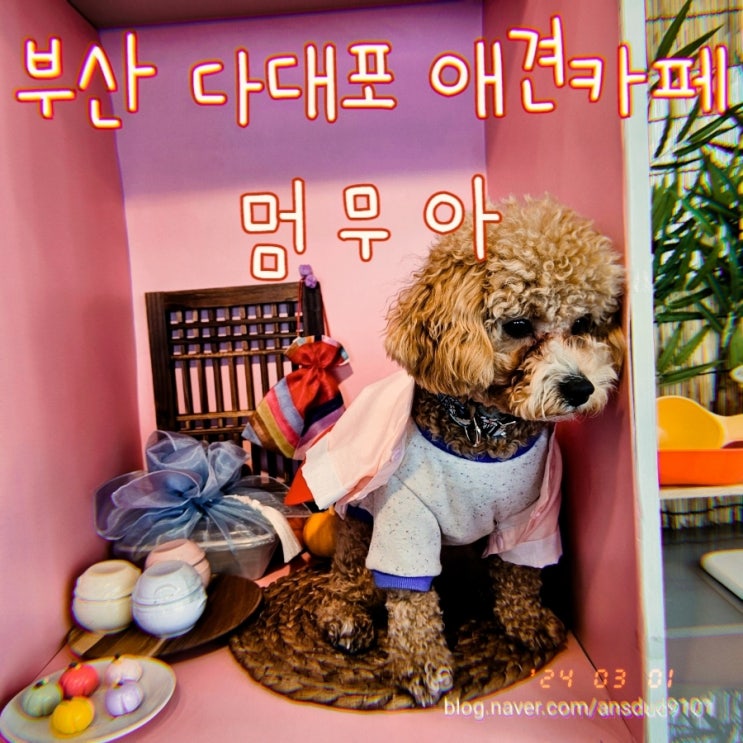  부산 다대포 애견카페, 멈무아