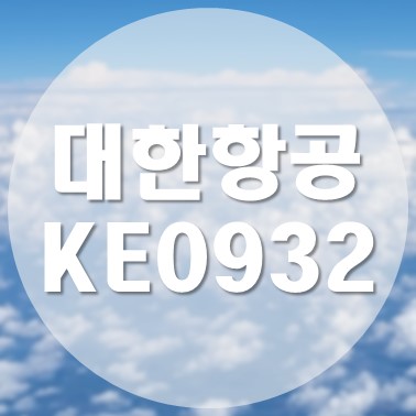  신혼여행 로마에서 인천 직항 대한항공 932편 탑승 후기