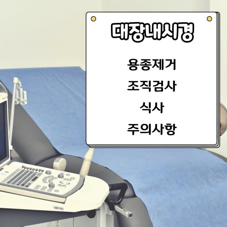  대장 내시경 후 식사 및 주의사항 현직 간호사의 검사후 간호