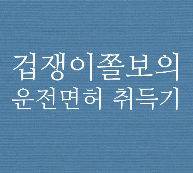  겁쟁이의 운전면허 따기 타임라인(feat.운전면허 취득 비용)