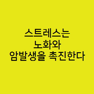  스트레스는 노화와 암발생을 촉진한다