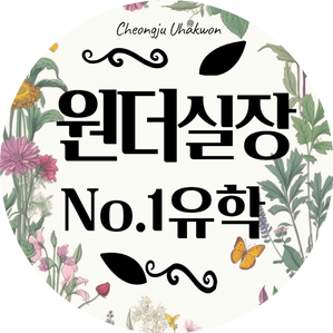  넘버원유학 청주센터는 무슨일을 하나요?