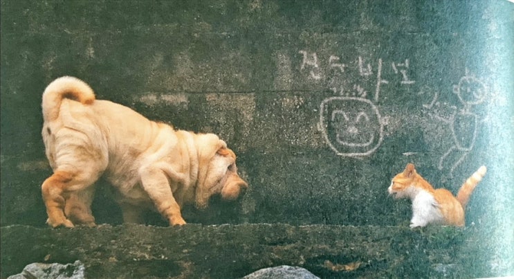  무문관 20칙, 대역량인, 있는 그대로를 보라!