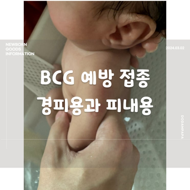신생아 정보 BCG 접종 피내용 경피용 비교 및 후기
