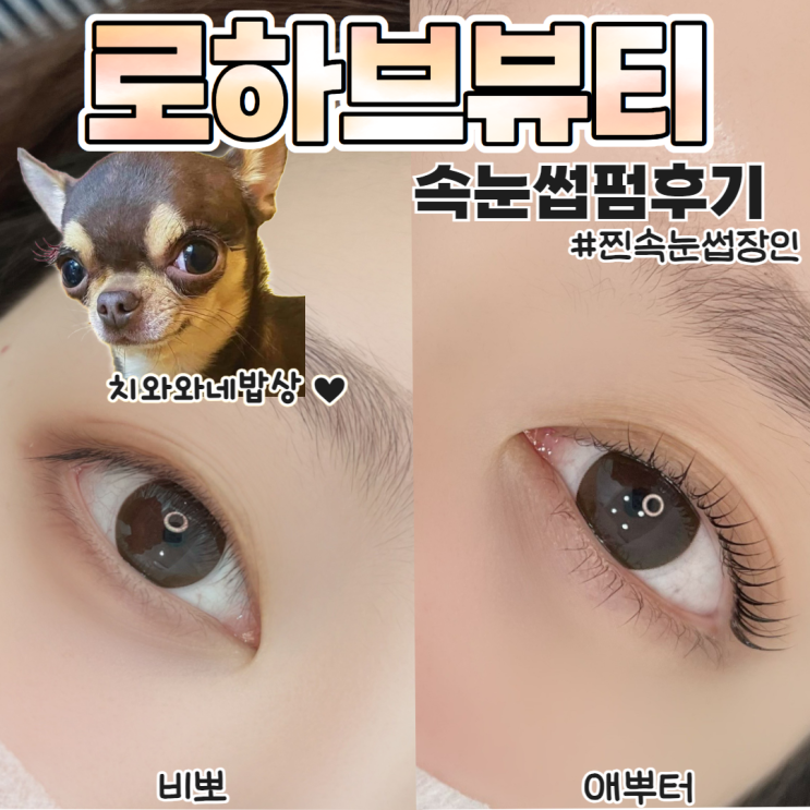  부산수정동속눈썹 로하브뷰티