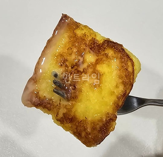 얌플 사진 5