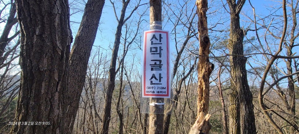 산막골산 사진 3
