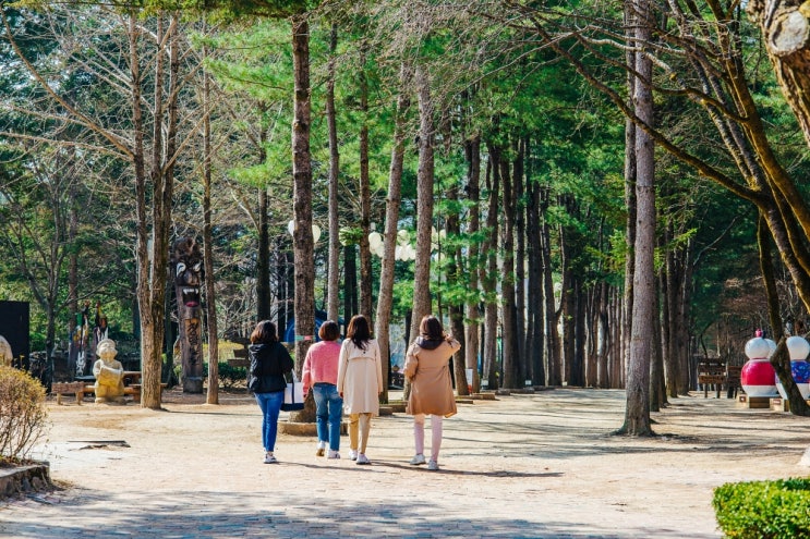 4월 국내여행지 추천 가평 가볼만한곳 남이섬 입장권 할인 배시간 4월 국내여행지 추천 가평 가볼만한곳 남이섬 입장권 할인 배시간