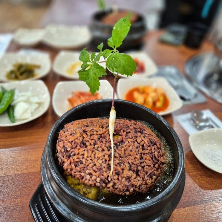  김포 감정동 삼계탕 맛집 추천 삼태기(feat.상황버섯 누룽지 백숙)