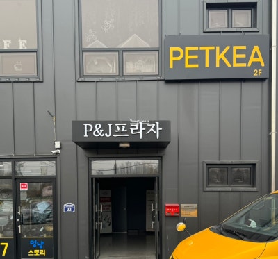 사진 2