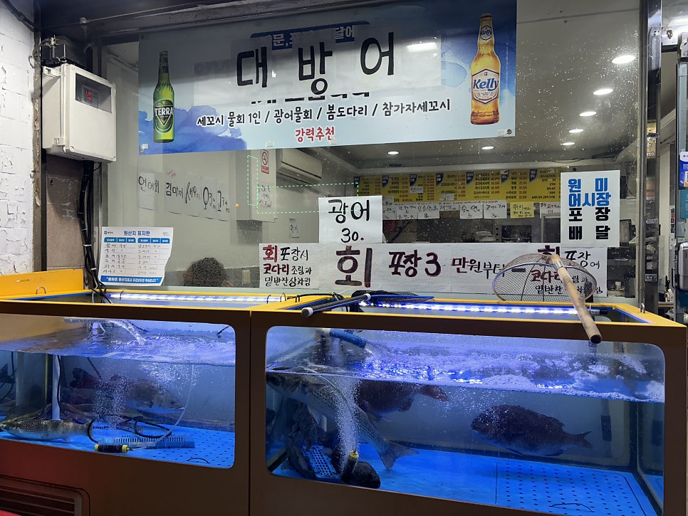 원미어시장 사진 2