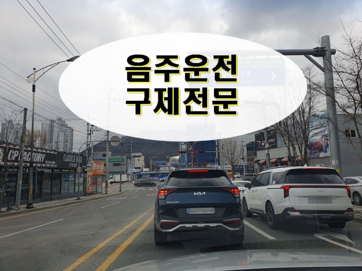  대구 음주운전 이의신청 행정사의 조력이 절대적으로 필요합니다