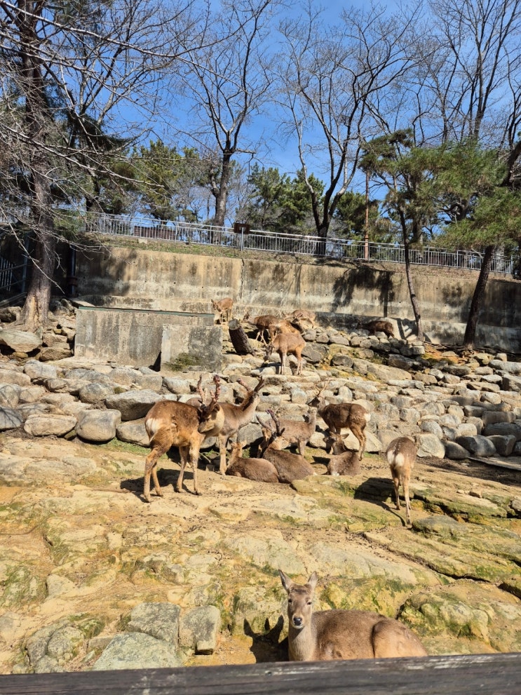 [진주 여행] 가성비 있는 진주 진양호 동물원