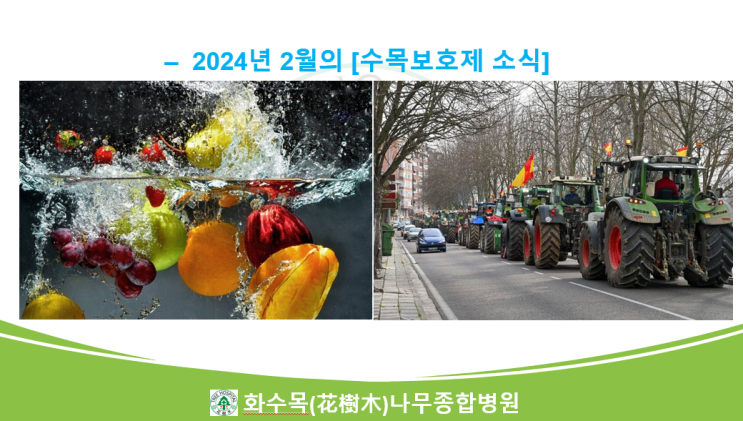  2024년 2월의 수목보호제 뉴스 모음