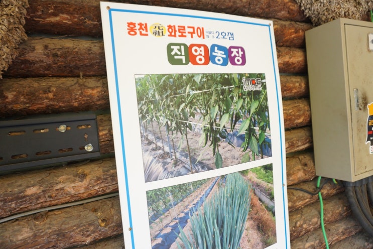  홍천 비발디파크 맛집으로 책임지는 홍천화로구이 2호점 