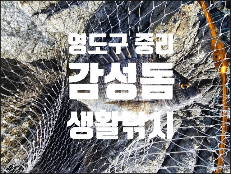 중리낚시 부산 영도 감성돔 2023. 10. 29.