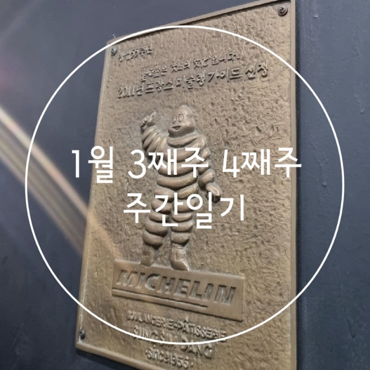  1월 3째주 4째주 주간일기 갓생의달