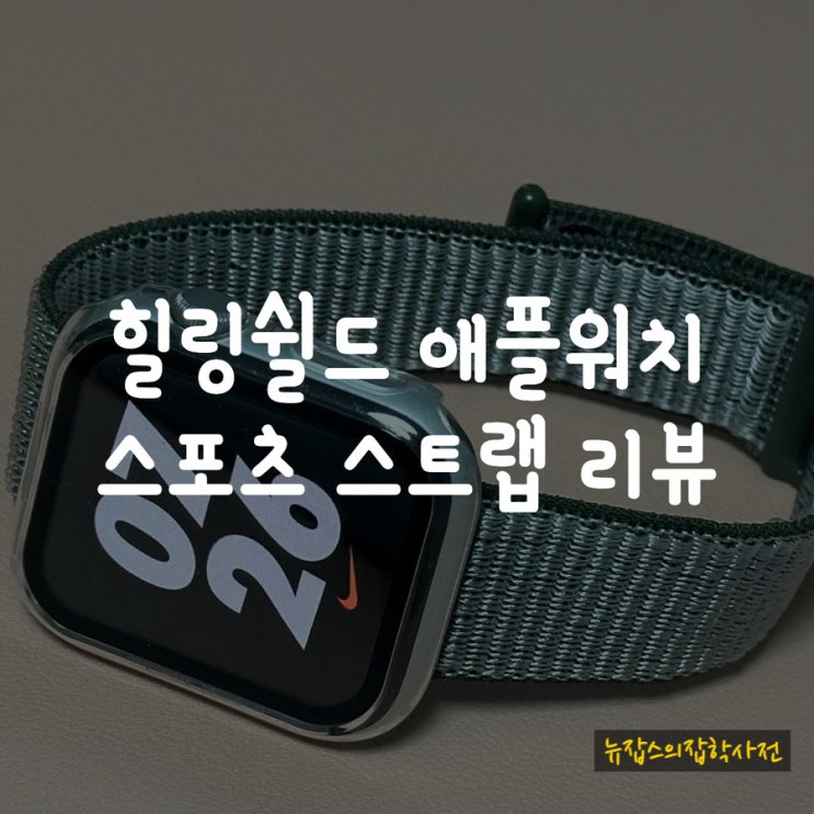  힐링쉴드 애플워치 나일론 스포츠 스트랩 리뷰