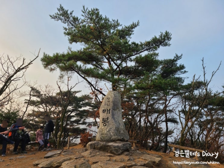  청계산 입구 옛골 매봉 초보 등산 코스 국내 혼자 서울 여행 추천