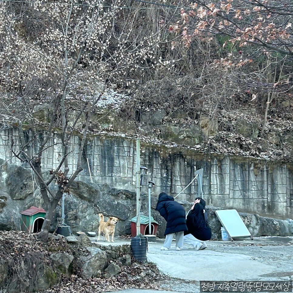 철수야학교가자펜션 사진 3
