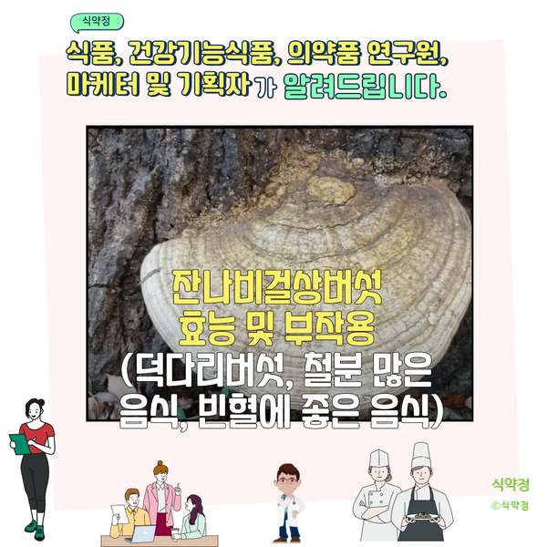  잔나비걸상버섯 효능 및 부작용 (덕다리버섯, 철분 많은 음식, 빈혈에 좋은 음식)