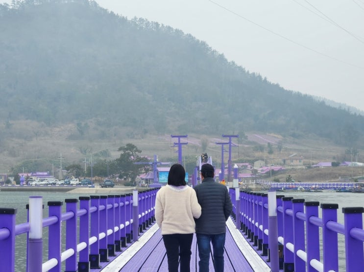  신안가볼만한 곳 퍼플섬 소요시간 무료입장 방문후기