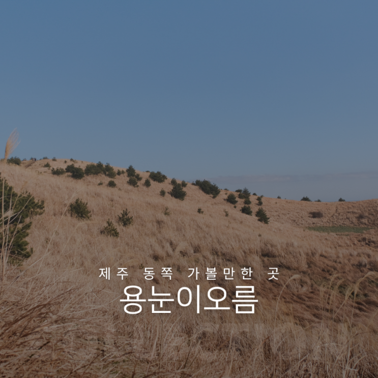  제주 동쪽 가볼만한 곳 송당 용눈이오름 소요 시간