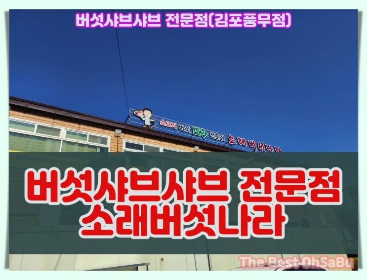  김포맛집 버섯샤브샤브 전문점 소래버섯나라(ft.김포풍무점)