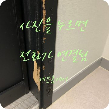 강아지가 물어뜯어 이빨자국 난 문틀 복원