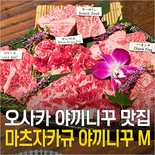  오사카 난바 야키니쿠 맛집 - 마츠자카규 야끼니꾸 M 호젠지하나레 예약 & 추천 메뉴