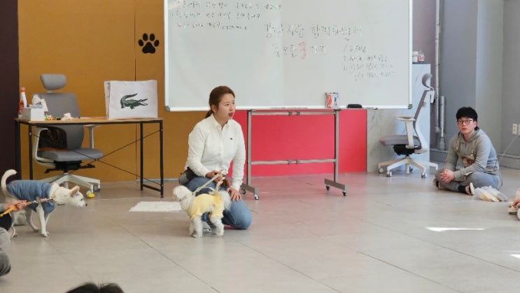  고병희훈련사 강아지훈련 세미나 다녀왔어요