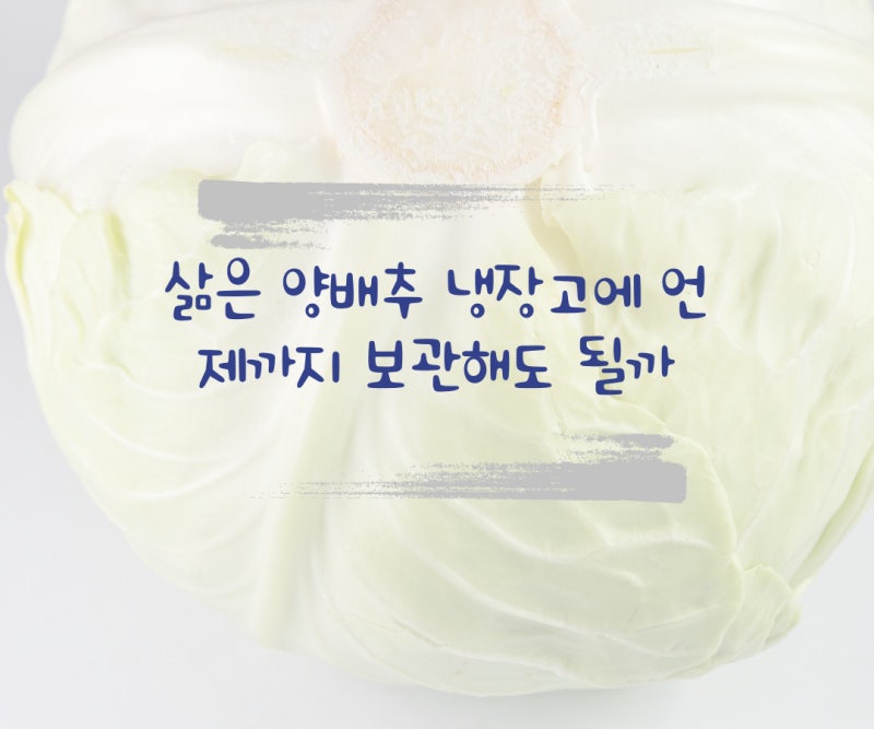 삶은 양배추 냉장고에 언제까지 보관해도 될까
