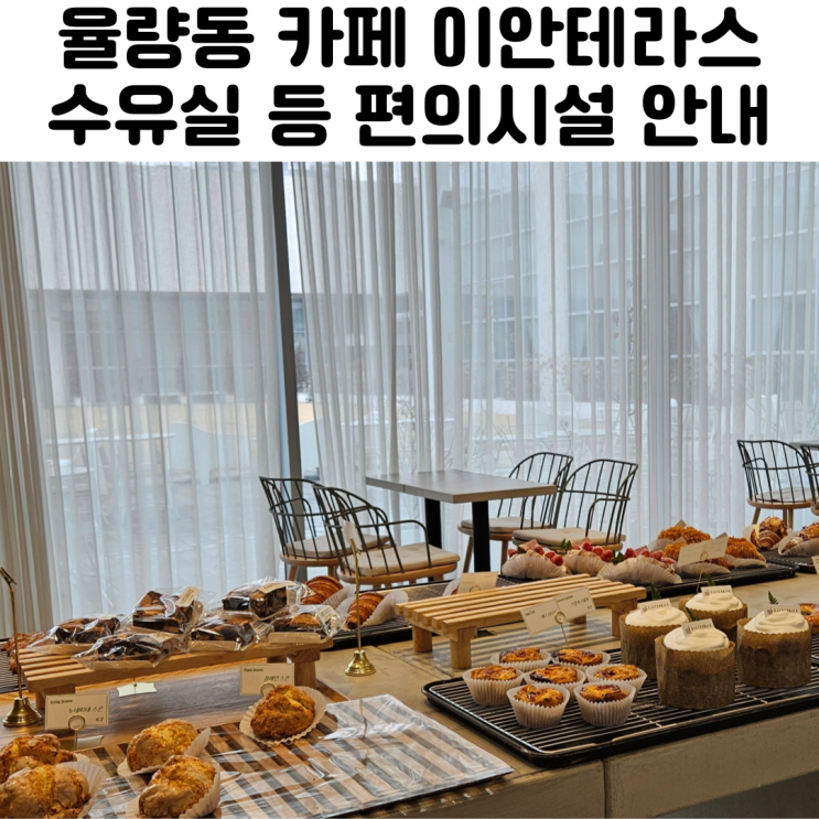  청주 율량동 카페 이안테라스 내돈내산