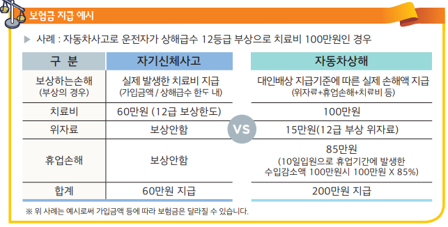 車사고 치료비 보장액 차이 `이것`에 갈렸다[자동차상해]