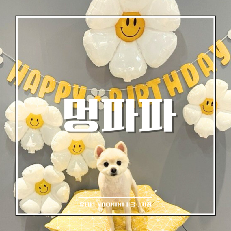 사진 2