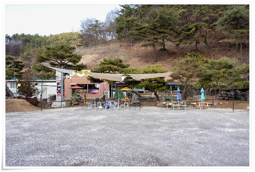 초당골 사진 3